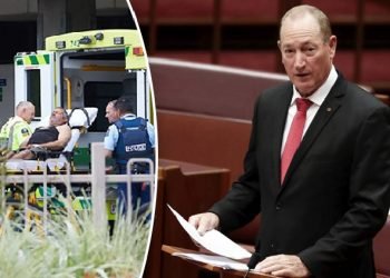 Avustralyalı senatör: Bu saldırı Müslümanları aklamaz