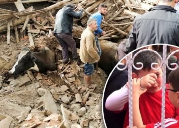 Denizli’deki depremde kerpiç binalar yıkıldı, yaralılar var