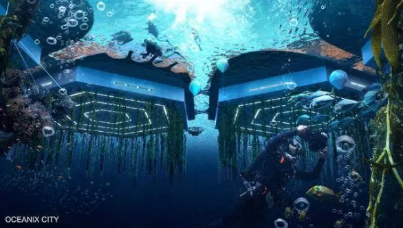 oceanix yüzen şehir