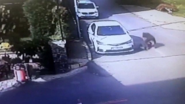 tuzla darp edilen çocuk
