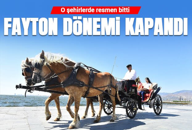 fayton-bitti