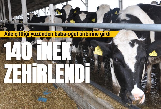 Aile çiftliği baba-oğul savaşına dönüştü!