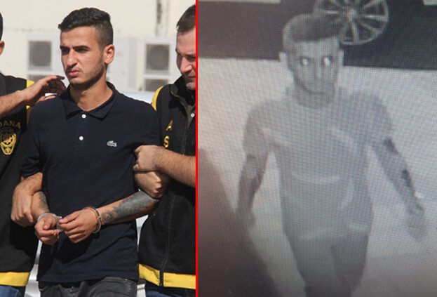 Sağlamcı kapkaççı