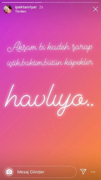 İpek Tanrıyar’dan eleştirilere sert cevap!