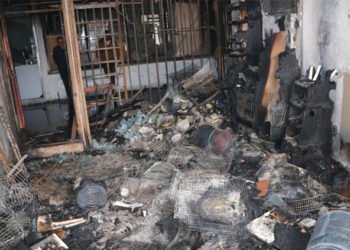 Petshopta çıkan yangında çok sayıda hayvan telef oldu!