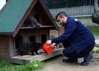 Bağcılar Belediyesi, sokak hayvanlarını unutmuyor