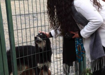 Bağcılarlı çocuklardan küçük dostlar için anlamlı etkinlik 