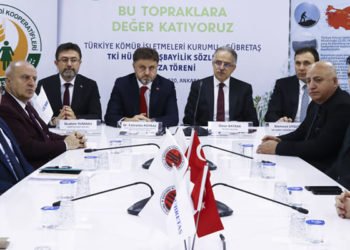 Kömürden elde edilen hümik asit tarımda kullanılacak