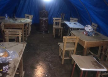 Mersin'de ormanlık alanda kumar için çadır kurdular!