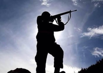 Milli Savunma Bakanlığı: 2 terörist teslim oldu