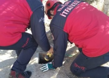 Elazığ’da su kuyusunda mahsur kalan yavru köpekler kurtarıldı