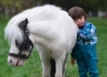 Beykoz'da ücretsiz atla terapi dönemi başlıyor