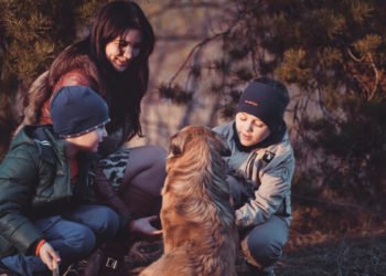 Dolandırıcılıkta yeni hedef hayvanseverler