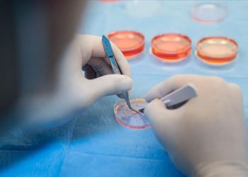 'Koronavirüs yüzeylerde 17 gün yaşıyor'