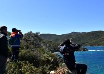 Muğla'da denize açılan 3 kişiden 5 gündür haber alınamıyor