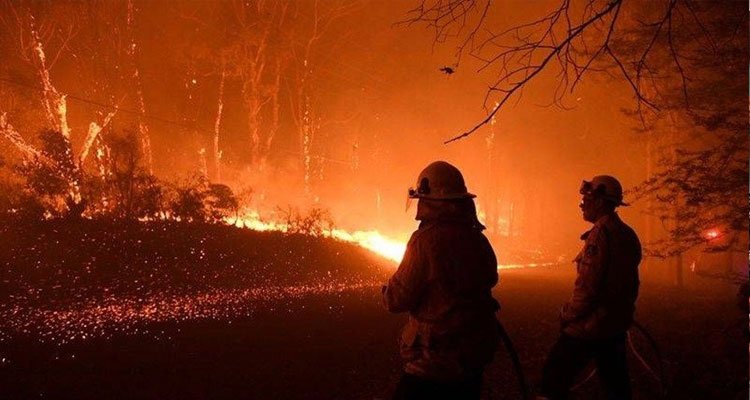 Ve bitti! 240 gün sürdü, bir milyar canlı yok oldu