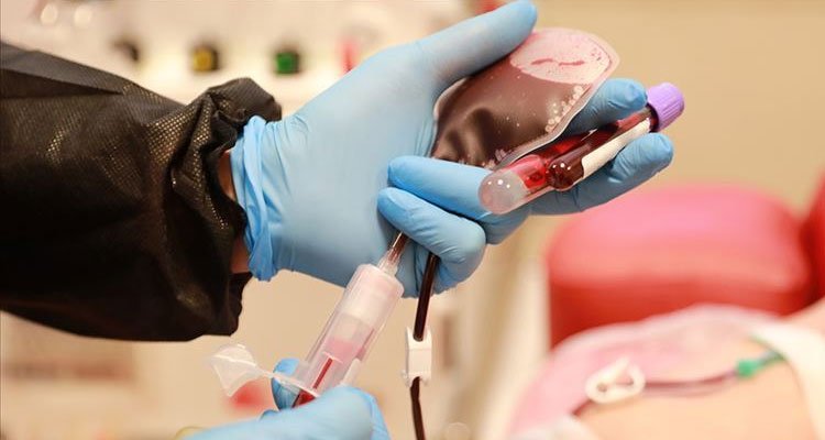 Türkiye'de 'immün plazma' tedavisi başlıyor