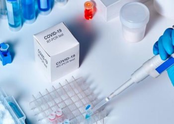 Koronavirüs aşısı farelerde başarılı oldu