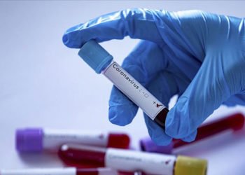 Türkiye'de koronavirüsten ölü sayısı bin 101'e yükseldi