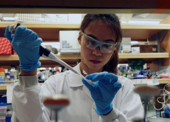 DSÖ: Korona aşısında insan testlerine başlandı