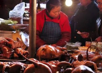 BM: Vahşi hayvan pazarları dünya genelinde yasaklanmalı