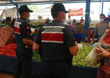 Türkiye'de koronavirüs tedavisi tamamlananların sayısı 201 bin 13 oldu