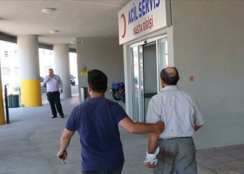 'Acemi kasaplar' kurban kesmeye çalışırken yaralandı