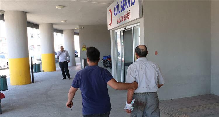 'Acemi kasaplar' kurban kesmeye çalışırken yaralandı