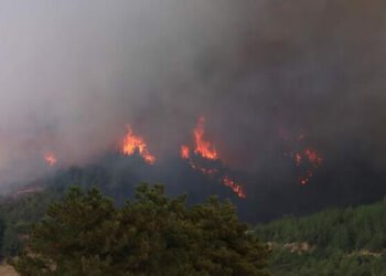 Adana'da yangın! Tahliye edilen evler kullanılamaz halde
